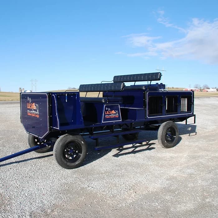 American Quail Hunting