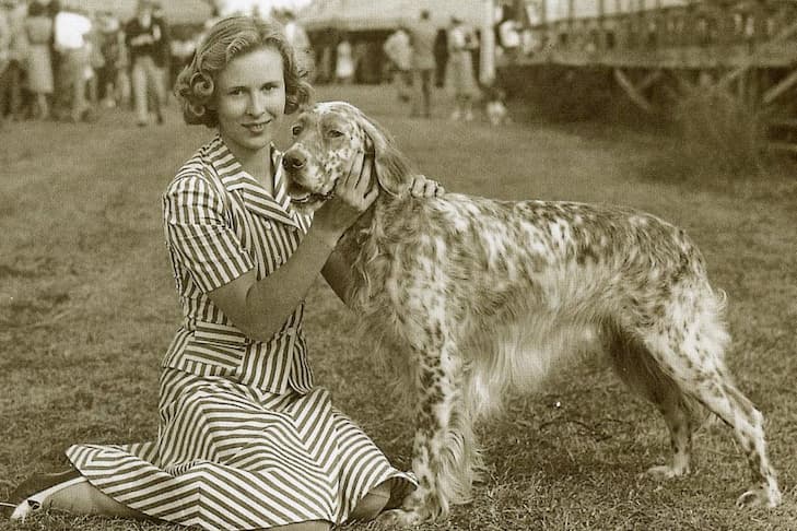 The English Setter: Hunting Dog Profile